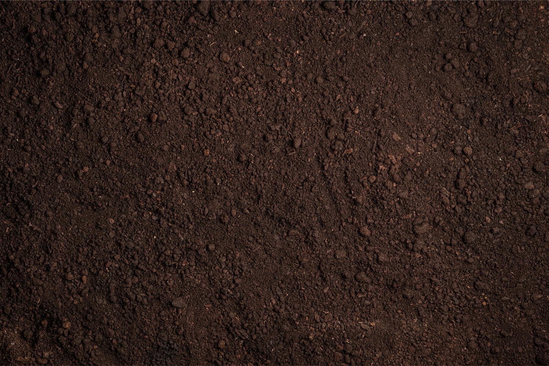 Plumb Excavations on site in the Hunter Region